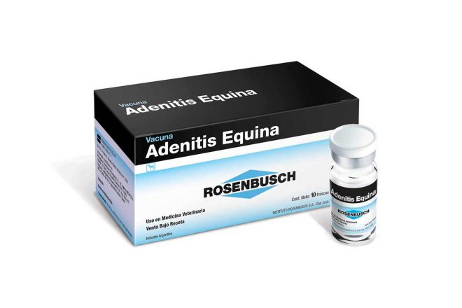 Adenitis Equina